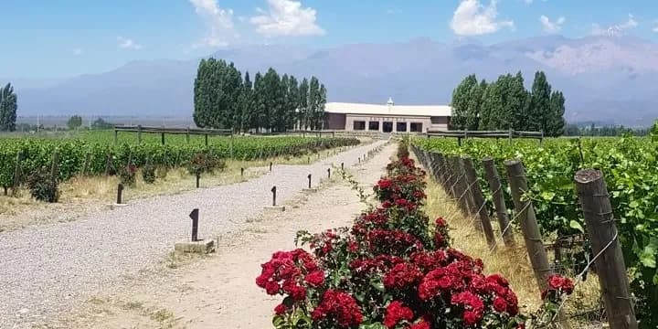 mercurio experiences image